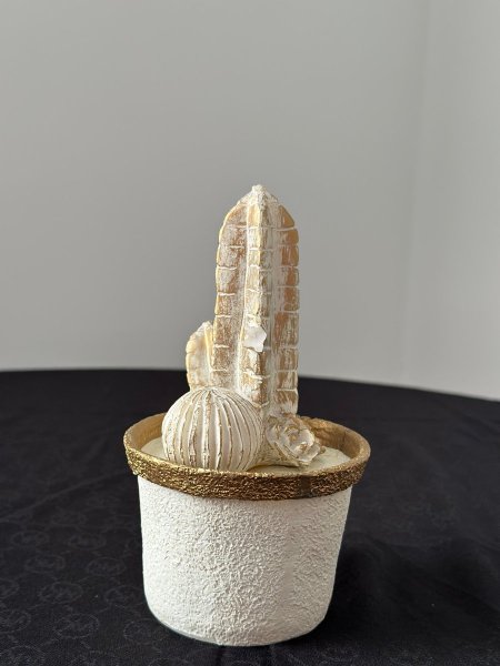 تحف صبارة أنتيك